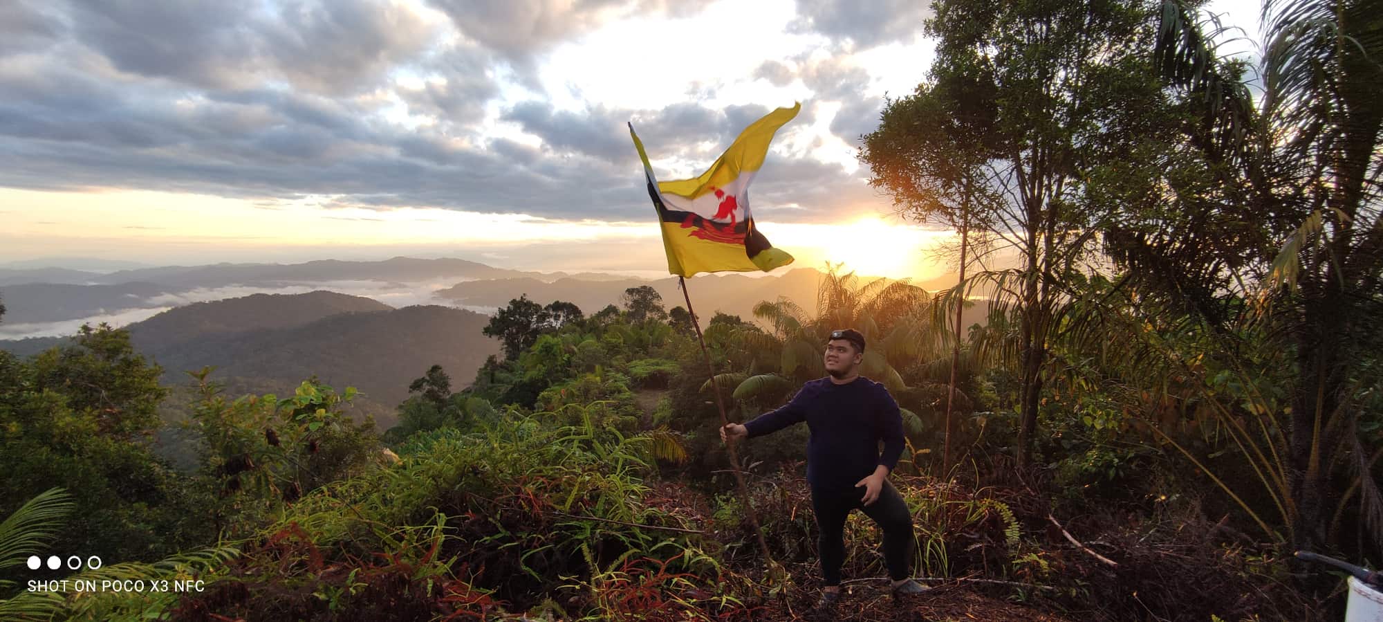 Diagram showing the cycle of community-led conservation