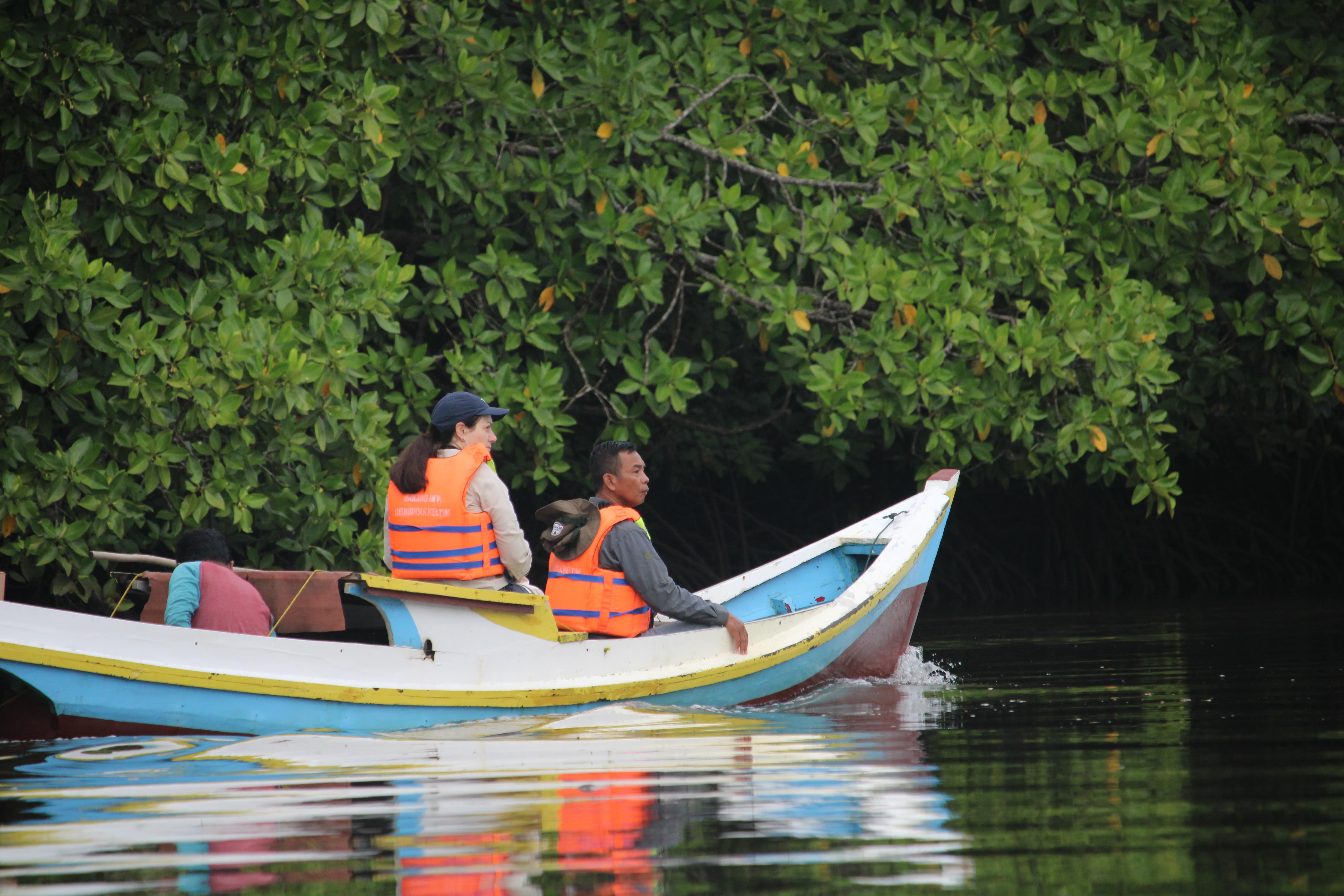 A group of people working together in a natural environment
