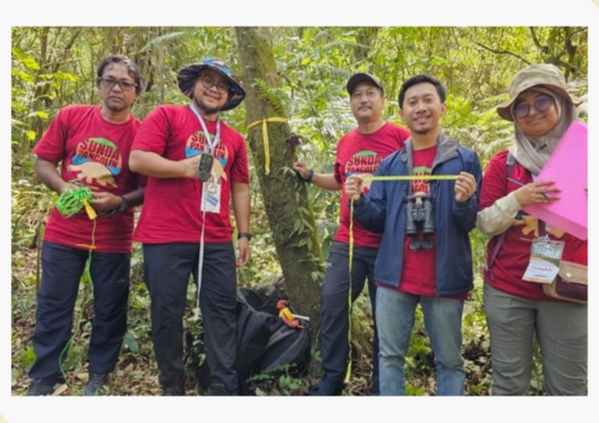 A screenshot of data from a survey