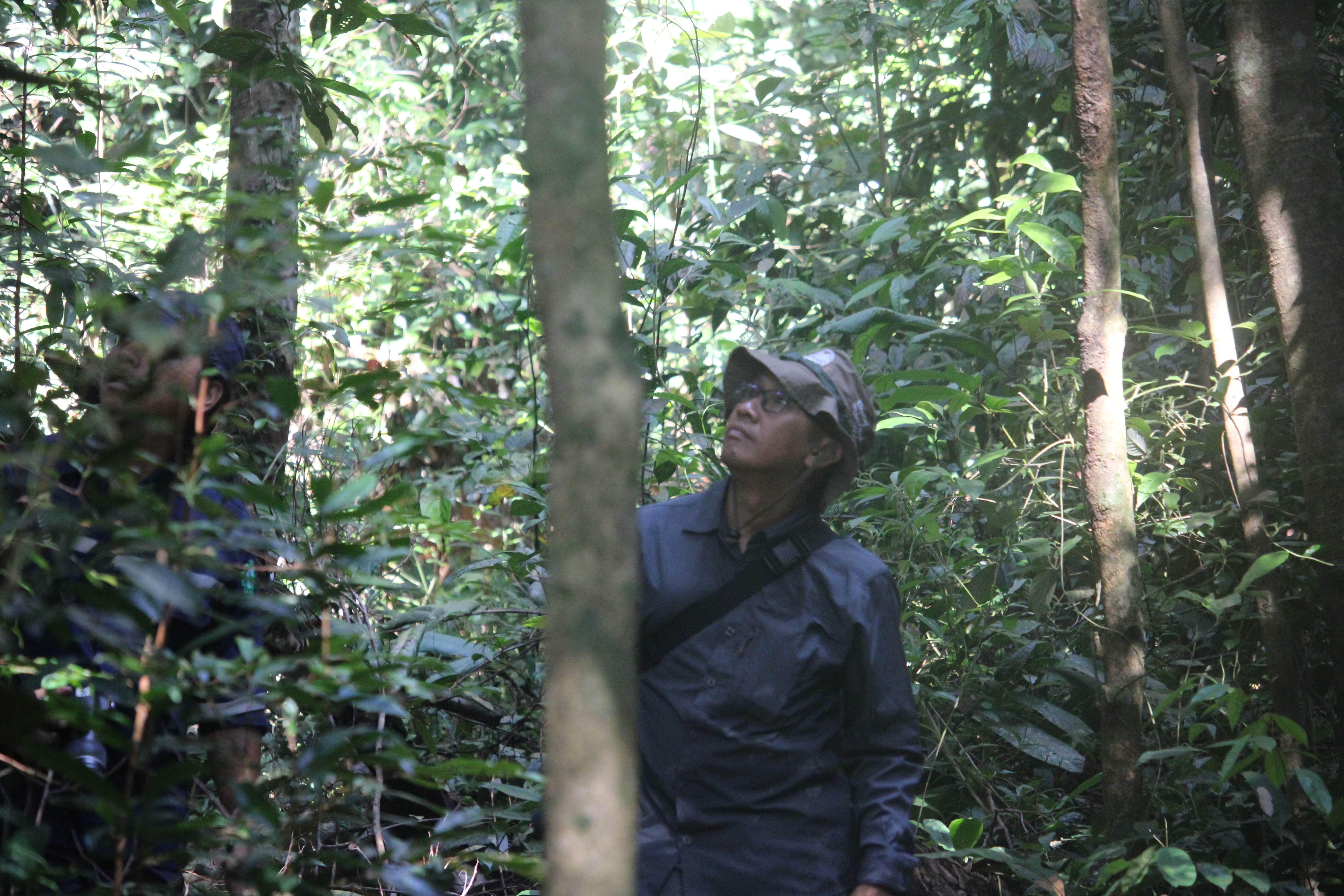 A group of smiling people in a forest environment
